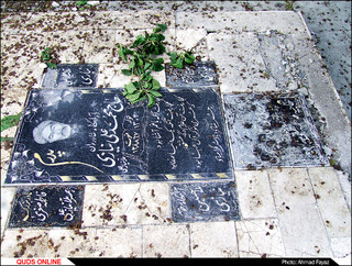 رد پای وقف و خیر درختان توت در قبرستان ها- گزارش تصویری