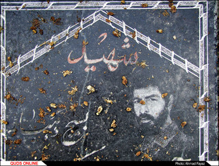 رد پای وقف و خیر درختان توت در قبرستان ها- گزارش تصویری