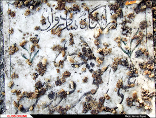 رد پای وقف و خیر درختان توت در قبرستان ها- گزارش تصویری