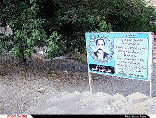 رد پای وقف و خیر درختان توت در قبرستان ها- گزارش تصویری