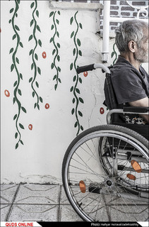 "جشنی برای تنهایی"