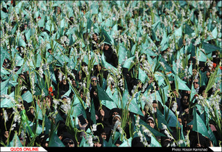 گلباران حرم مطهر رضوی در روز میلاد بانوی کرامت /گزارش تصویری