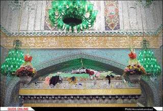 تعویض گل ضریح مطهر امام رضا علیه السلام/گزارش تصویری