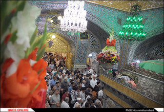 تعویض گل ضریح مطهر امام رضا علیه السلام/گزارش تصویری