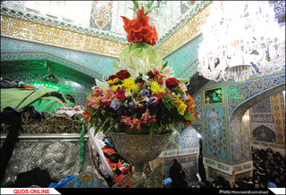 تعویض گل ضریح مطهر امام رضا علیه السلام/گزارش تصویری