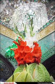 تعویض گل ضریح مطهر امام رضا علیه السلام/گزارش تصویری