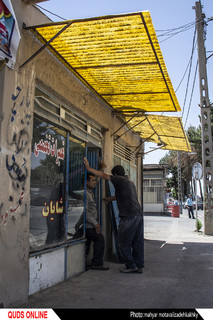 "دردهای خفته ی بیکاری"
