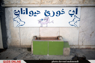 کتابخانه کوچک ما