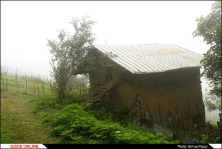 زندگی در میان ابر و مه