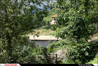 زندگی در میان ابر و مه