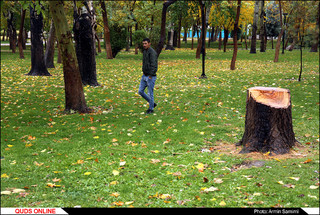 باران پاییزی