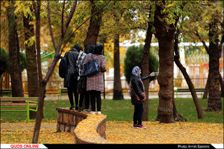 باران پاییزی