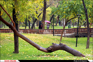 باران پاییزی