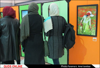 افتتاح پنجمین اکسپوی عکس همدم