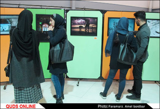 افتتاح پنجمین اکسپوی عکس همدم