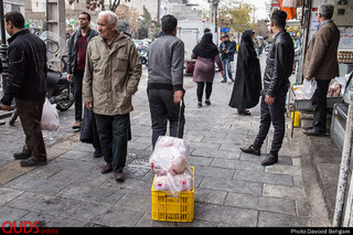 بازدید دستگاه های نظارتی از بازار مرغ گوشت مشهد / داوود بهگام