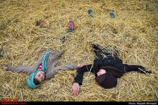 بازی در طبیعت / مژده میرنژاد