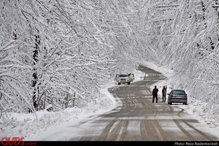 طبیعت زیبای پارک جنگلی توسکا چشمه در مازندران