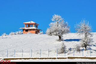 طبیعت زیبای پارک جنگلی توسکا چشمه در مازندران