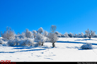 طبیعت زیبای پارک جنگلی توسکا چشمه در مازندران