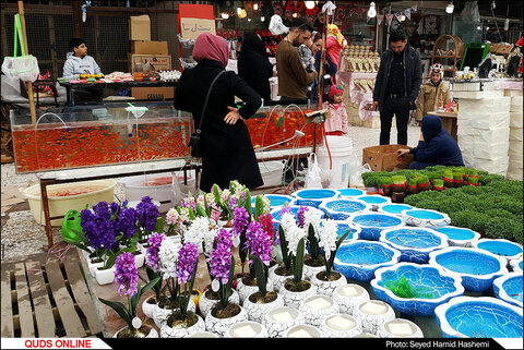حال و روز این روزهای تهران پیش از عید نوروز عید نوروز