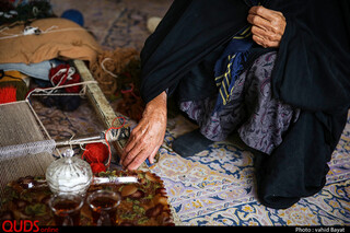 قالیبانی در جهرم