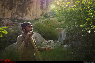 زندگی در هشت هکتار