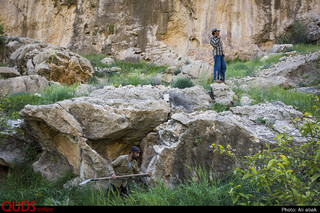 زندگی در هشت هکتار