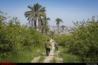 زندگی در هشت هکتار