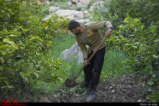 زندگی در هشت هکتار