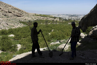 زندگی در هشت هکتار