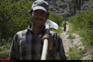 زندگی در هشت هکتار