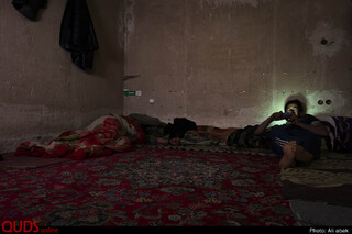 زندگی در هشت هکتار