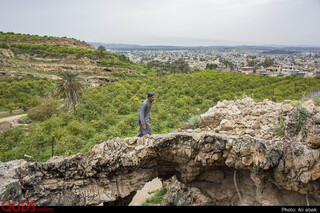 زندگی در هشت هکتار