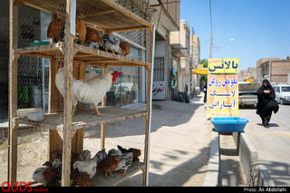خیابان فردوسی در روستای توس که به آرامگاه شاعر بزرگ ابولقاسم فردوسی ختم میشود.