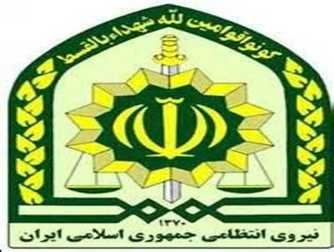 عزل و بازداشت ۲ مأمور حادثه پارک پلیس لغو شد نیروی انتظامی