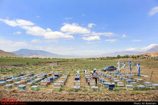 احیا قنات در روستای طبر بجنورد