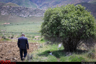 احیا قنات در روستای طبر بجنورد