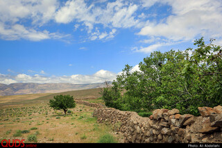 احیا قنات در روستای طبر بجنورد
