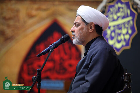 حس آرامش، رزقی است که بواسطه زیارت امام رضا(ع) حاصل میشود رفیعی