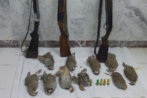 دستگیری ۵شکارچی متخلف در تایباد شکار