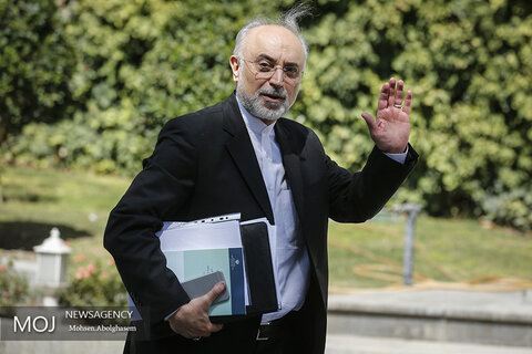 یکی دیگر از معاونان رئیس جمهور کرونا گرفت علی اکبر صالحی