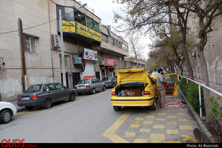 مشهد نوروزی