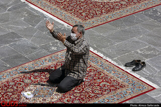 بیست و سوم ذیالقعده؛ روز زیارتی امام رضا(ع)