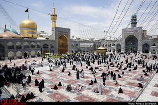 بیست و سوم ذیالقعده؛ روز زیارتی امام رضا(ع)