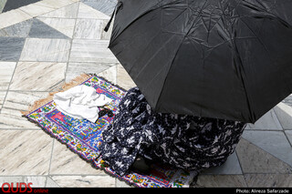 بیست و سوم ذیالقعده؛ روز زیارتی امام رضا(ع)