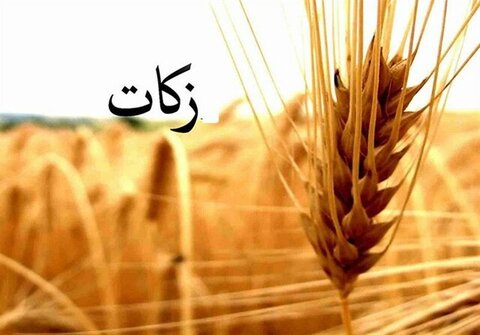 رشد ۳۴ درصدی دریافت زکات از مؤدیان در قم زکات