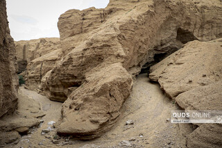 «کال جنی» طبس