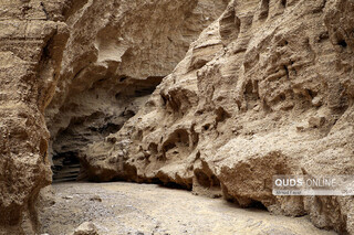 «کال جنی» طبس
