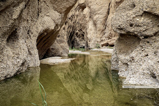 «کال جنی» طبس